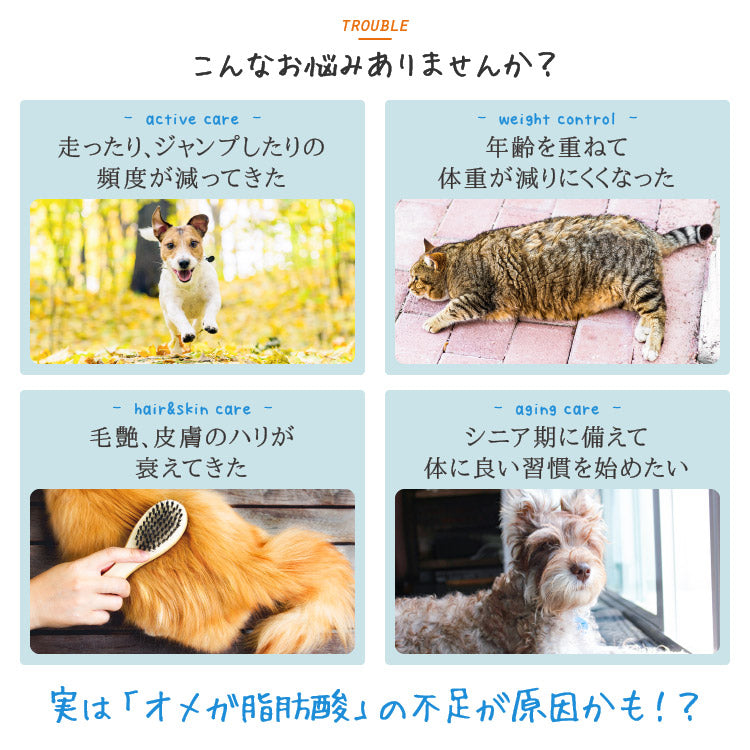 １day（ワンデー） オメガ 犬猫用 30包(個包装) ［ネコポス発送］4個まで