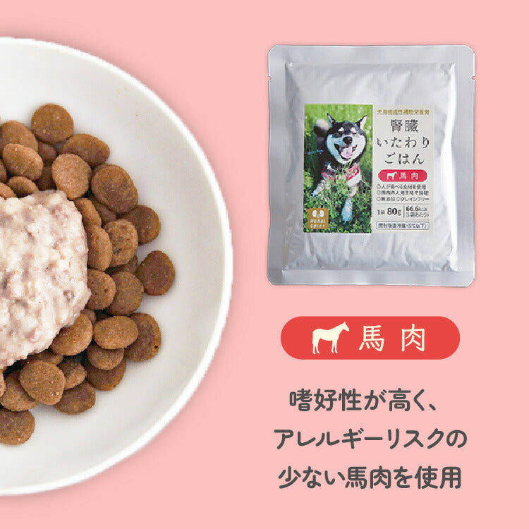 腎臓いたわりごはん 馬肉 犬用 80g×6袋［ネコポス発送］2セットまで(50563)