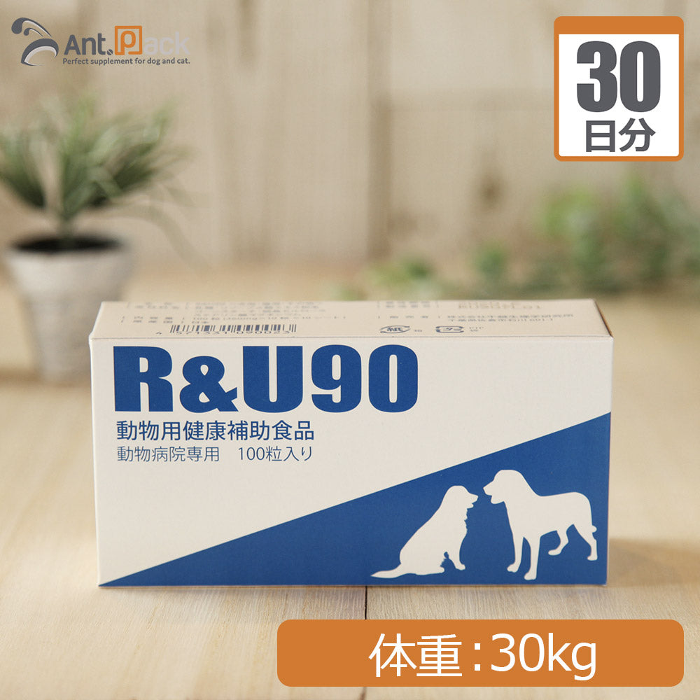 【送料無料】 共立製薬 R&U90 犬用 体重30kg 1日1粒30日分
