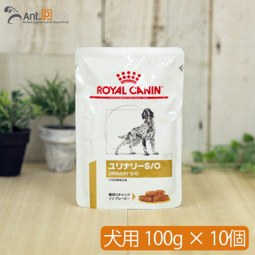 ロイヤルカナン ユリナリー S/O パウチ 犬用 100g×10個 【送料無料】(10082)