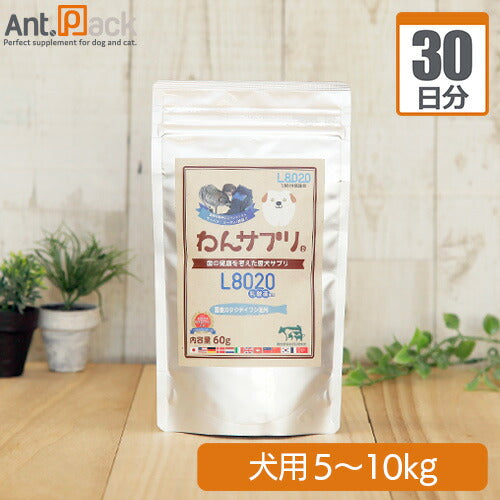 わんサプリ 犬用 体重5kg～10kg 1日2g30日分
