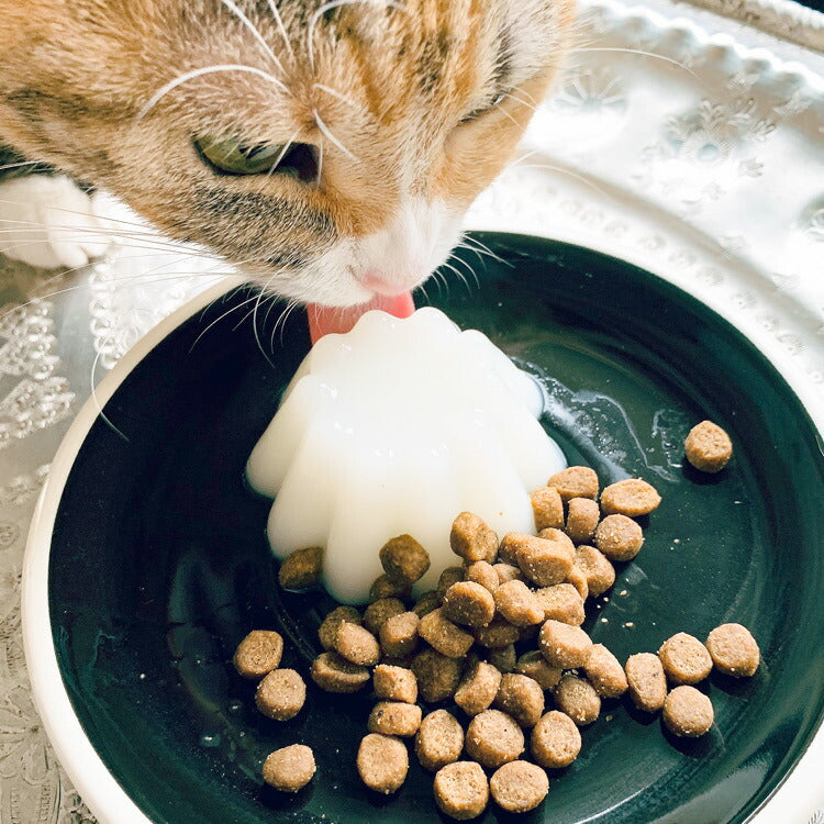 「食べるお水」ジュレッタ 下部尿路ケア チキン 犬猫用 1包(4食分)