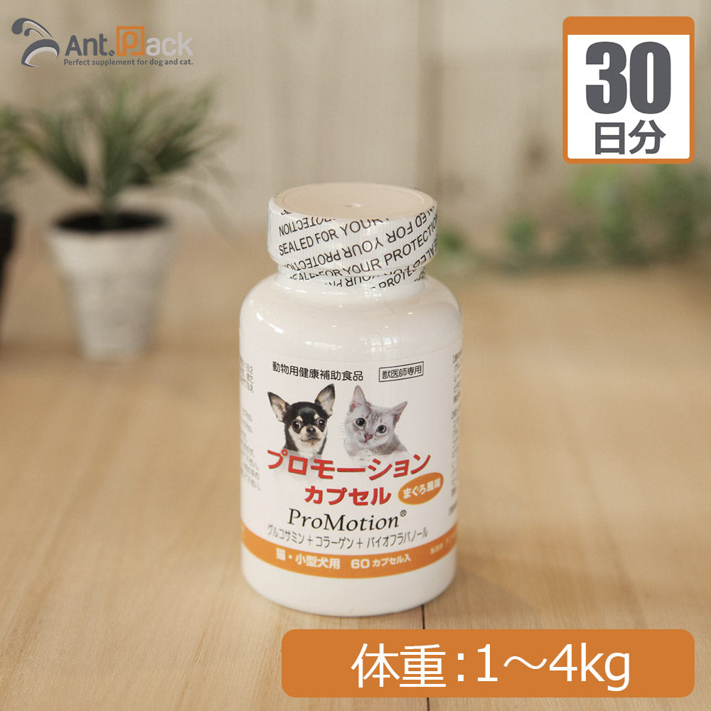 共立製薬 プロモーションカプセル 犬猫用 体重1kg～4kg 1日1カプセル30日分