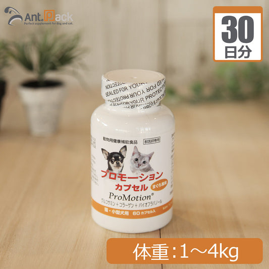 共立製薬 プロモーションカプセル 犬猫用 体重1kg～4kg 1日1カプセル30日分