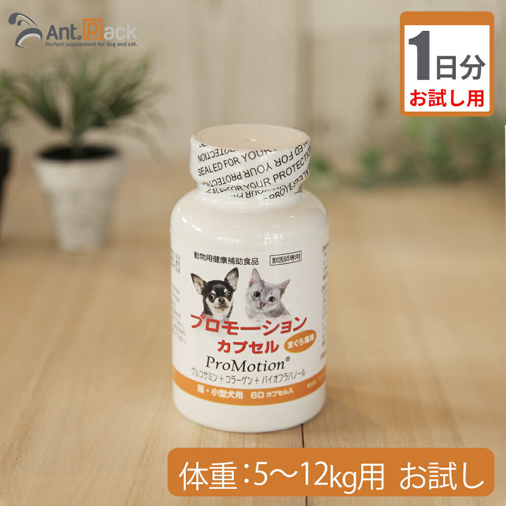 【お試し1日分】 共立製薬 プロモーションカプセル 犬猫用 体重5kg～12kg用 2カプセル