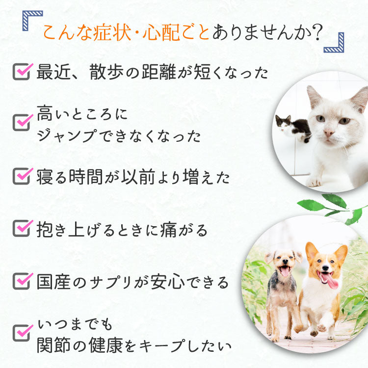 グルコサミン３５０ 犬猫用 体重12.5kg～15kg 1日3粒30日分