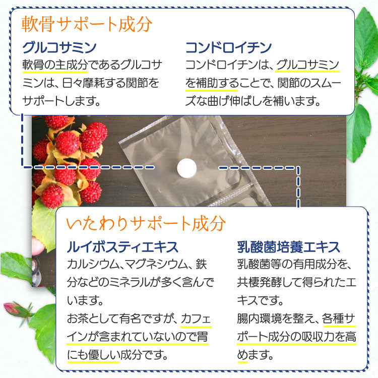 グルコサミン３５０ 犬猫用 体重2.5kg～5kg 1日1粒30日分