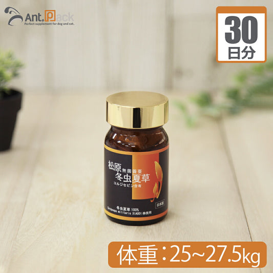 【送料無料】 松原 無菌養蚕 冬虫夏草 犬猫用 体重25kg～27.5kg 1日0.55g30日分