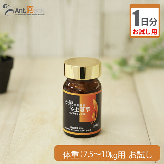【お試し1日分】 松原 無菌養蚕 冬虫夏草 犬猫用 体重7.5kg～10kg用 0.2g 1日分