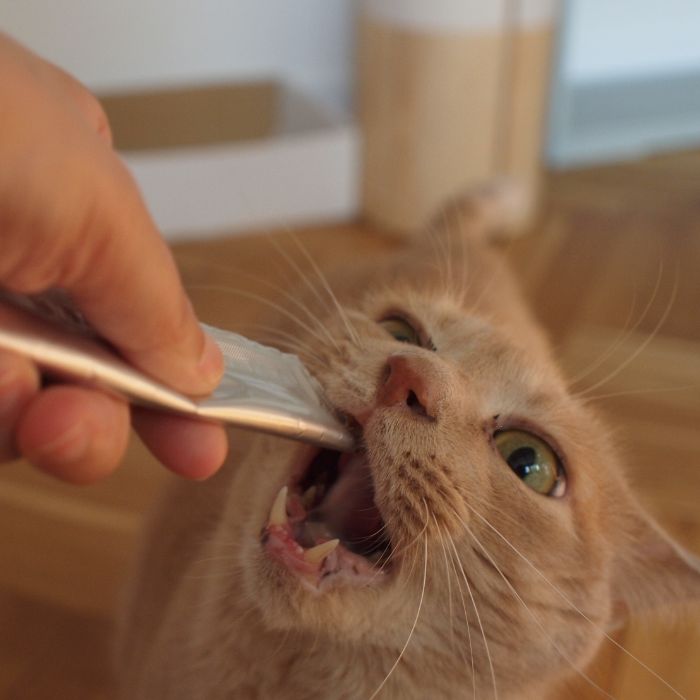 国産ペーストおやつ 犬猫用 にゃめろう まぐろ味 (10g×10本