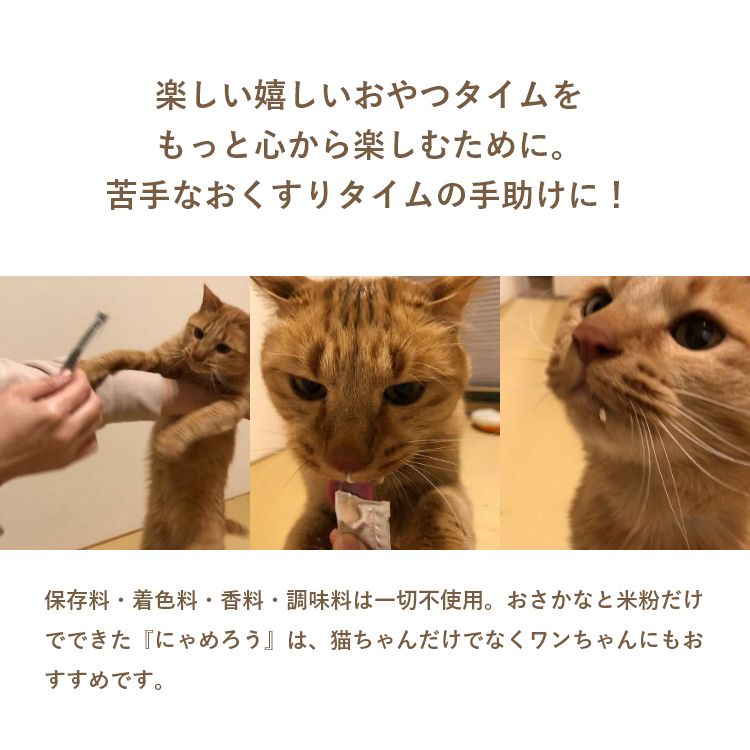 国産ペーストおやつ 犬猫用 にゃめろう かつお味 (10g×10本) ［ネコポス発送］4点まで(50136)