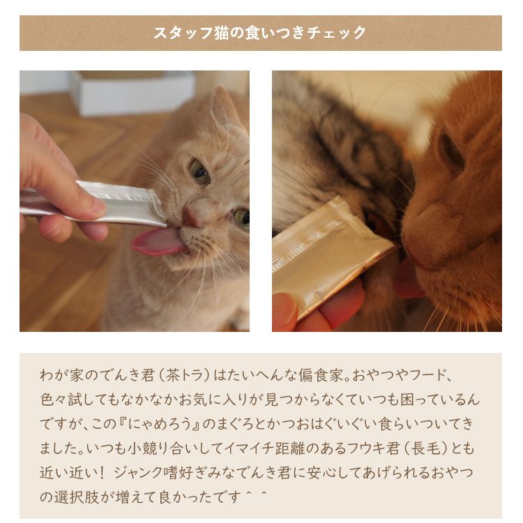 国産ペーストおやつ 犬猫用 にゃめろう かつお味 (10g×10本) ［ネコポス発送］4点まで(50136)