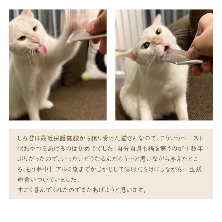 国産ペーストおやつ 犬猫用 にゃめろう かつお味 (10g×10本) ［ネコポス発送］4点まで(50136)