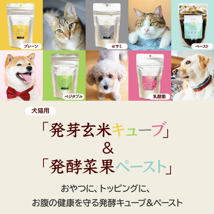 スパイラル 犬猫用 発酵菜果ペースト 250g　［ネコポス発送］4個まで(93015)