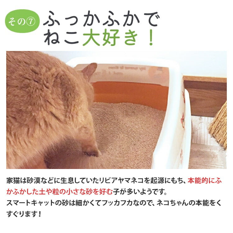 穀物の猫砂 スマートキャット 2.27kg(約4.13L)×4袋 【送料無料】(02941)